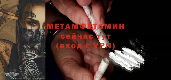 сатива Беломорск