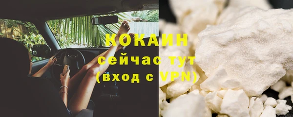 сатива Беломорск