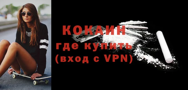 сатива Беломорск
