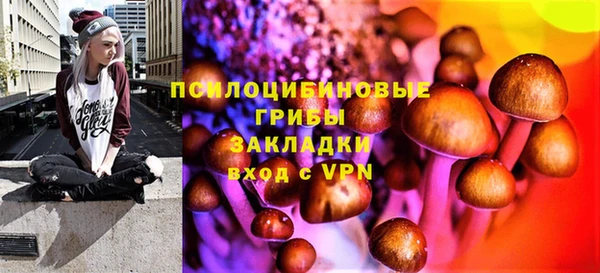 сатива Беломорск