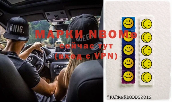 сатива Беломорск