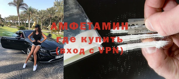 сатива Беломорск