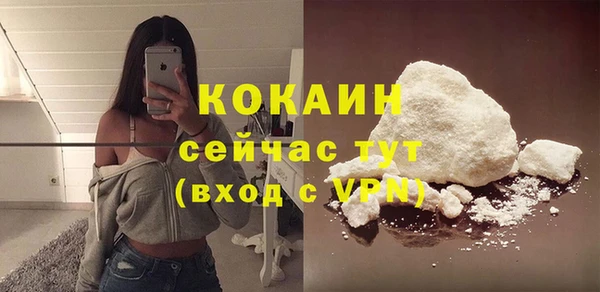 сатива Беломорск